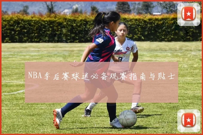 NBA季后赛球迷必备观赛指南与贴士