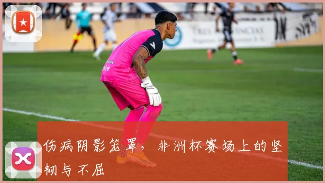 伤病阴影笼罩,非洲杯赛场上的坚韧与不屈