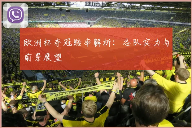 欧洲杯夺冠赔率解析：各队实力与前景展望