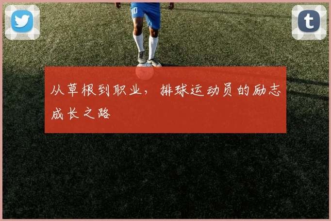 从草根到职业,排球运动员的励志成长之路
