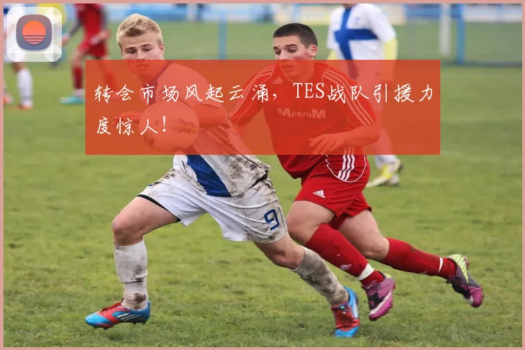 转会市场风起云涌，TES战队引援力度惊人！